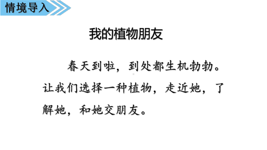 部编版新人教版三年级下册第一单元习作：我的植物朋友人教(部编版)-(共27张)课件.ppt_第3页