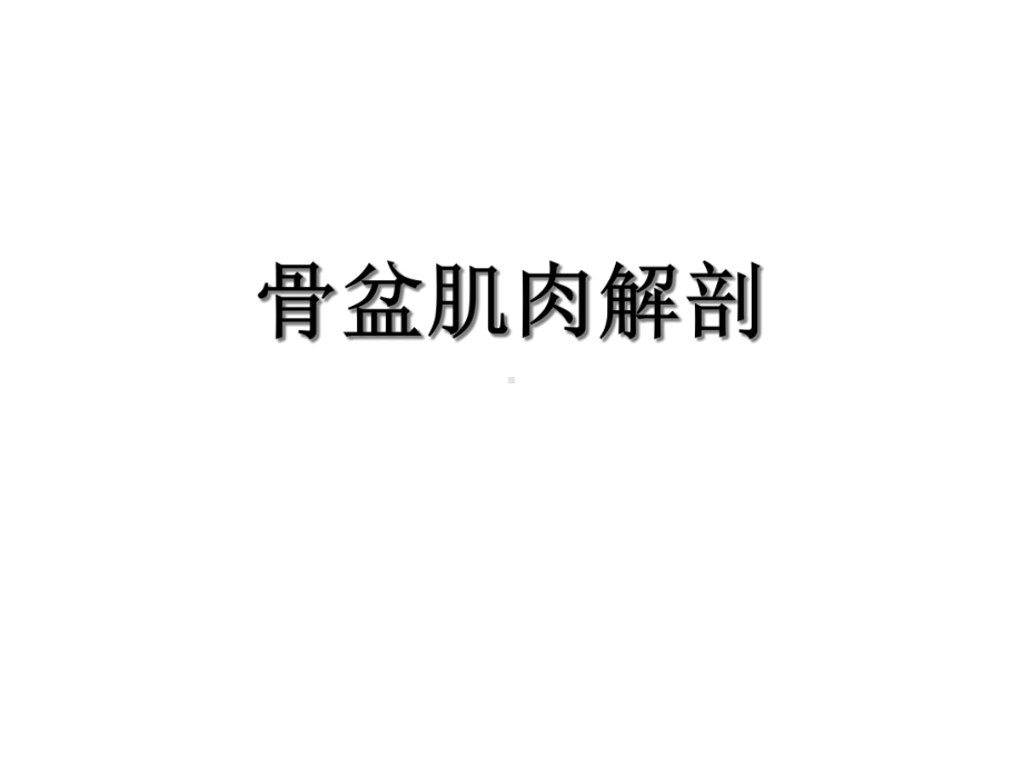 骨盆肌肉MRI解剖课件.ppt_第1页