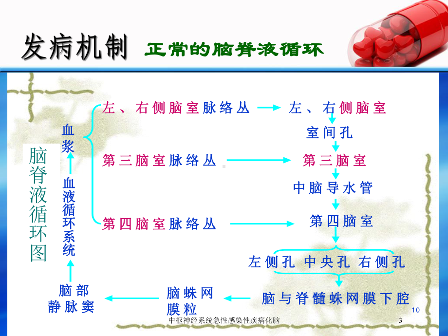 中枢神经系统急性感染性疾病化脑培训课件.ppt_第3页