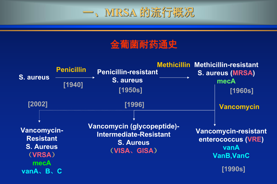 MRSA感染现状与抗菌药物治疗新进展课件.ppt_第2页