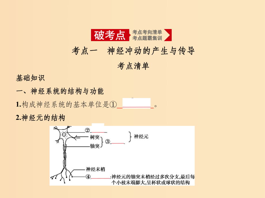 (5年高考3年模拟A版)浙江省202x年高考生物总复习-专题19-神经系统的结构与功能课件.ppt_第2页