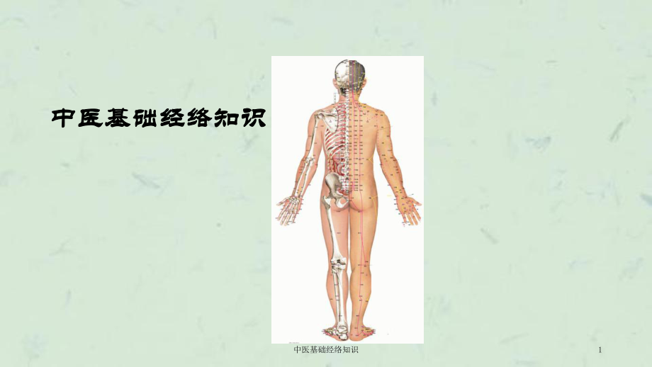 中医基础经络知识课件.ppt_第1页