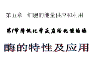 高三复习《降低化学反应活化能的酶》优秀课件-PPT.ppt