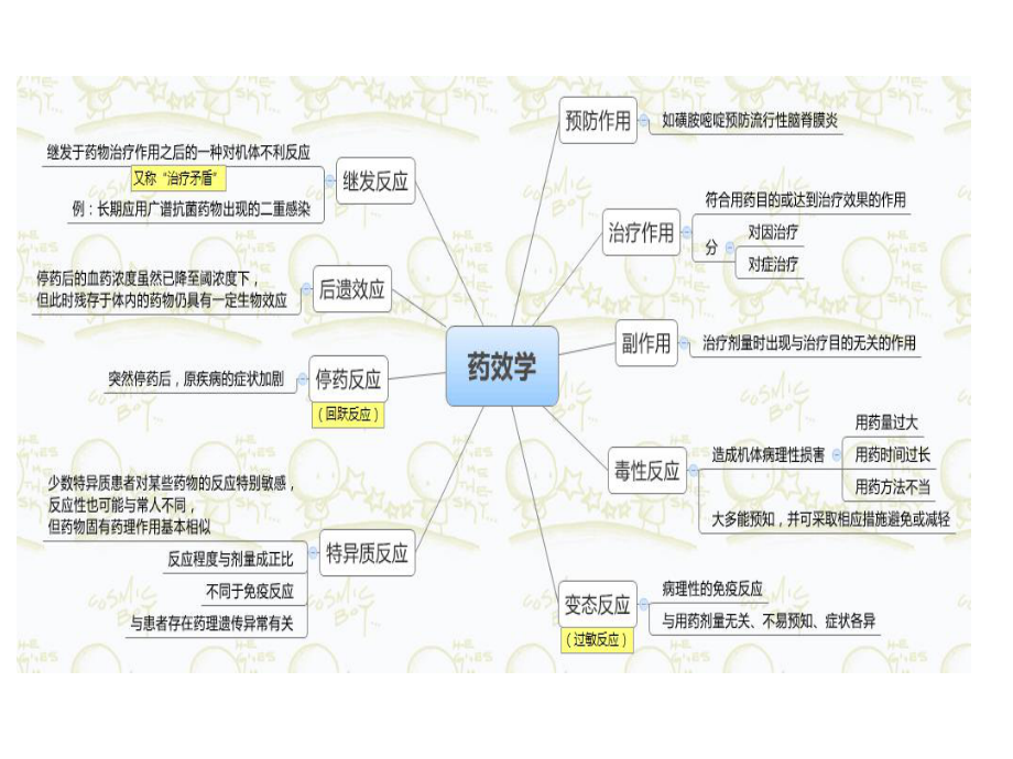 《药理学》思维导图课件.ppt_第3页