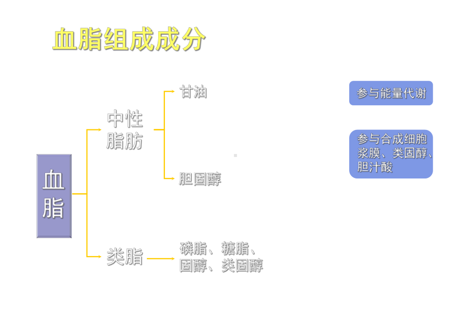 社区血脂异常防治--医学课件.ppt_第2页