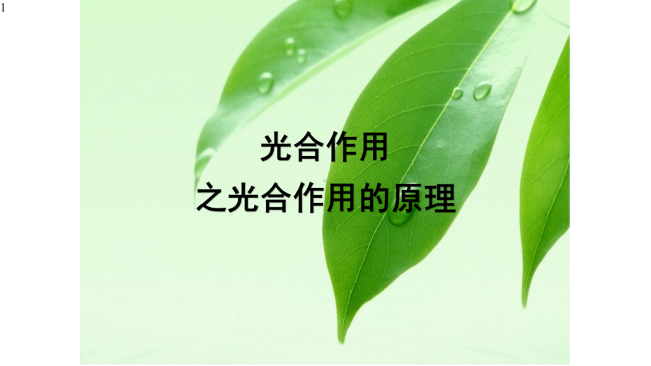 高中生物人教版必修1第5章-第4节-光合作用与能量转化-二-光合作用的原理和应用-课件.pptx_第1页