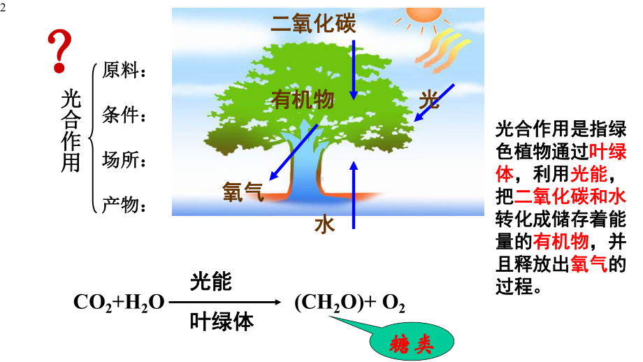 高中生物人教版必修1第5章-第4节-光合作用与能量转化-二-光合作用的原理和应用-课件.pptx_第2页