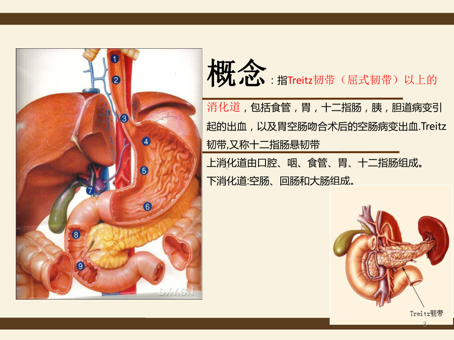 上消化道出血的护理查房课件.pptx_第3页