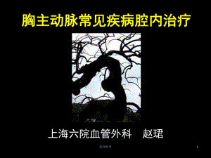 主动脉夹层(行业运用)课件.ppt