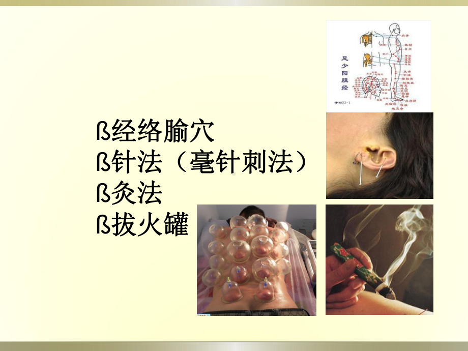 中医学：经络腧穴(定)课件.ppt_第3页