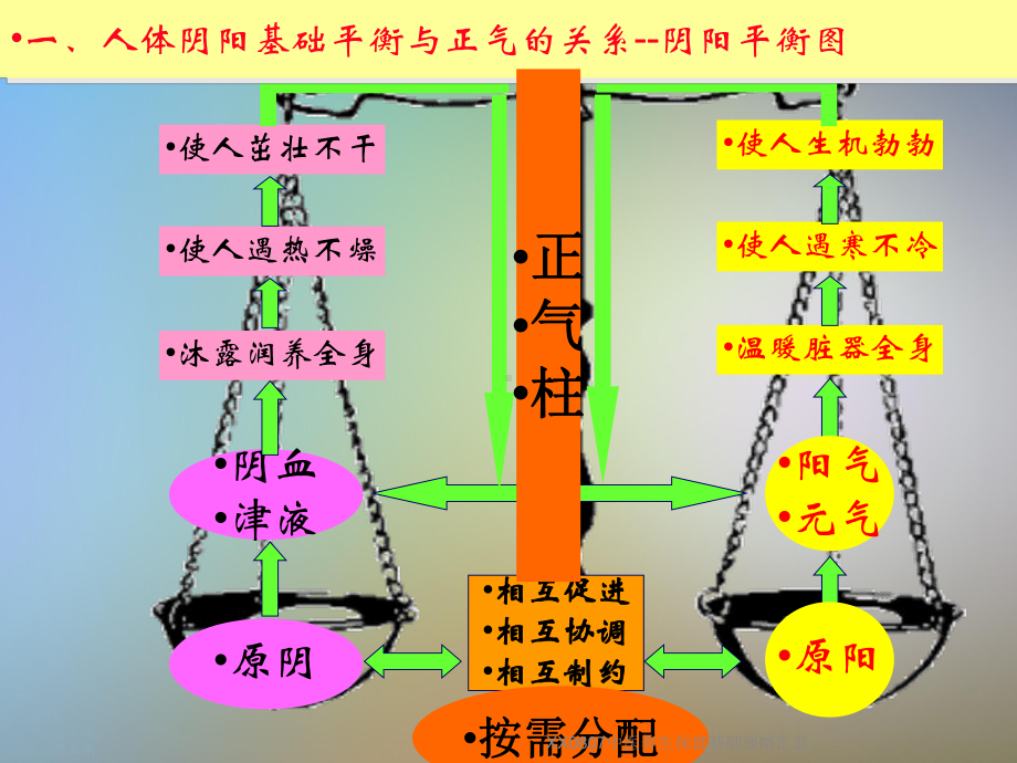 XX0807中医养生保健基础要略汇总课件.ppt_第3页