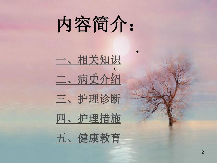 中医科混合痔护理查房课件.ppt_第2页