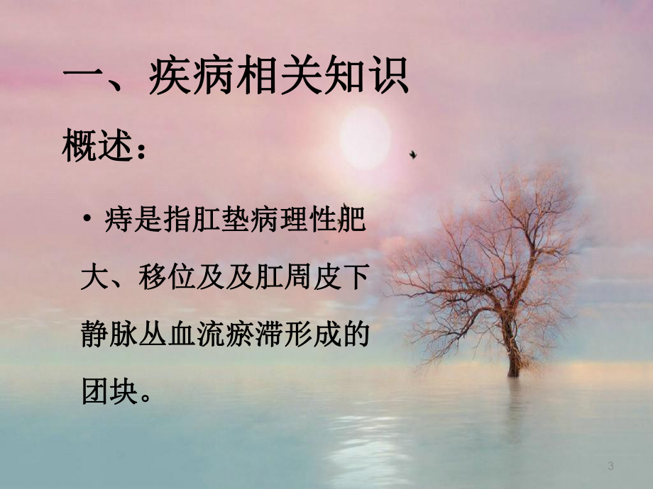 中医科混合痔护理查房课件.ppt_第3页