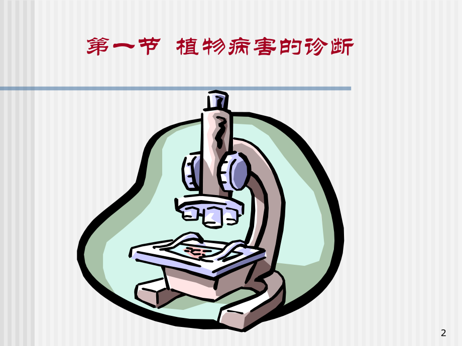 一节植物病害诊断参考课件.ppt_第2页