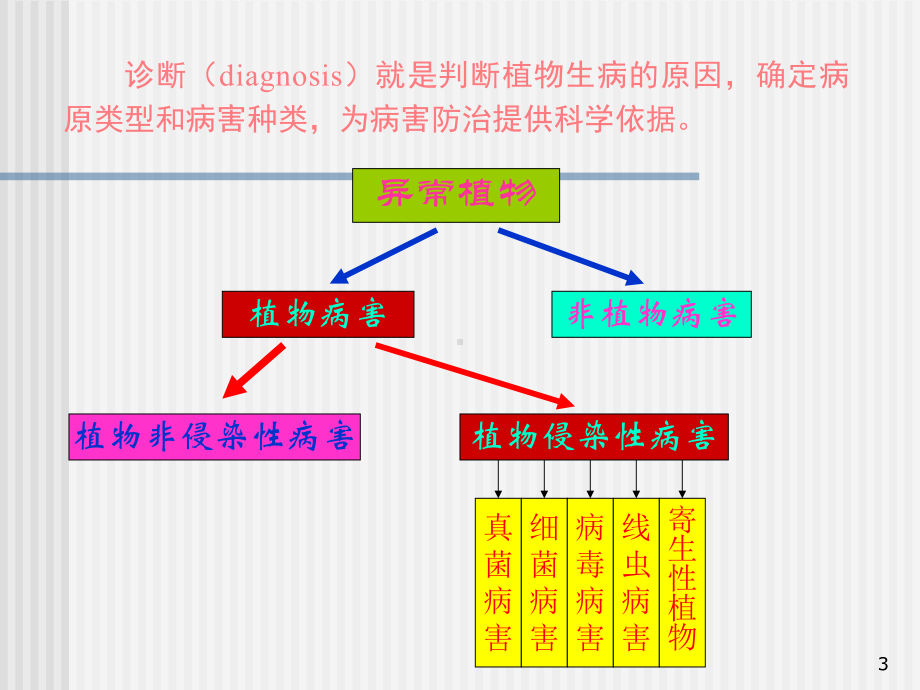 一节植物病害诊断参考课件.ppt_第3页