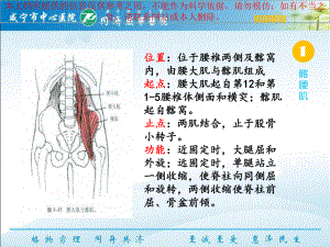 下交叉综合征培训课件.ppt