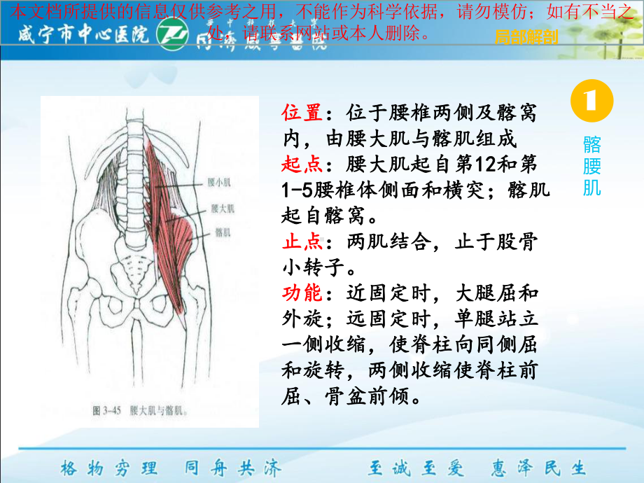 下交叉综合征培训课件.ppt_第1页