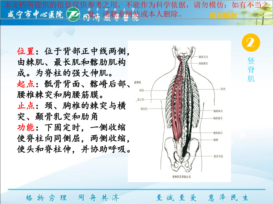 下交叉综合征培训课件.ppt_第3页