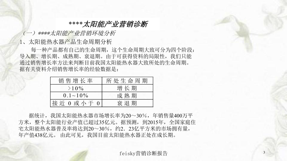 feisky营销诊断报告课件.ppt_第3页