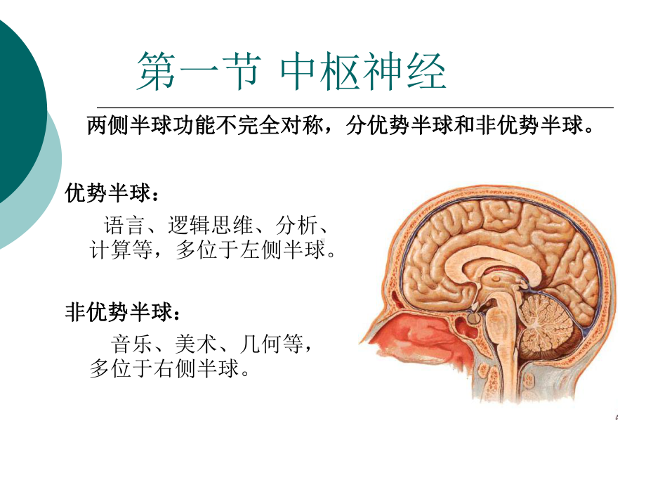 中枢神经系统课件.pptx_第2页