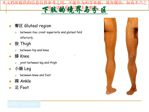 下肢中文医学知识宣讲培训课件.ppt