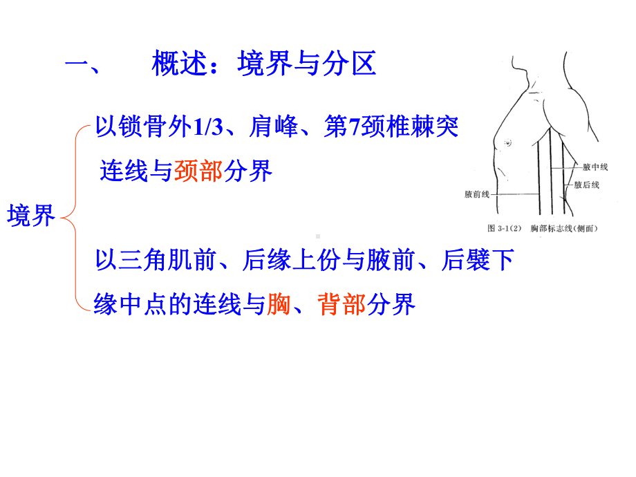 上肢医学知识讲座课件.ppt_第3页