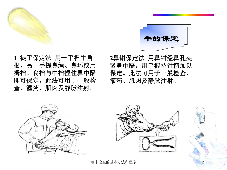 临床检查的基本方法和程序培训课件.ppt_第2页