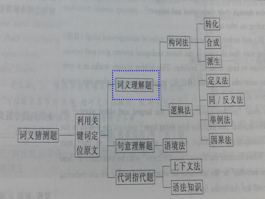 高一英语阅读复习专项(共30张)课件.ppt_第3页