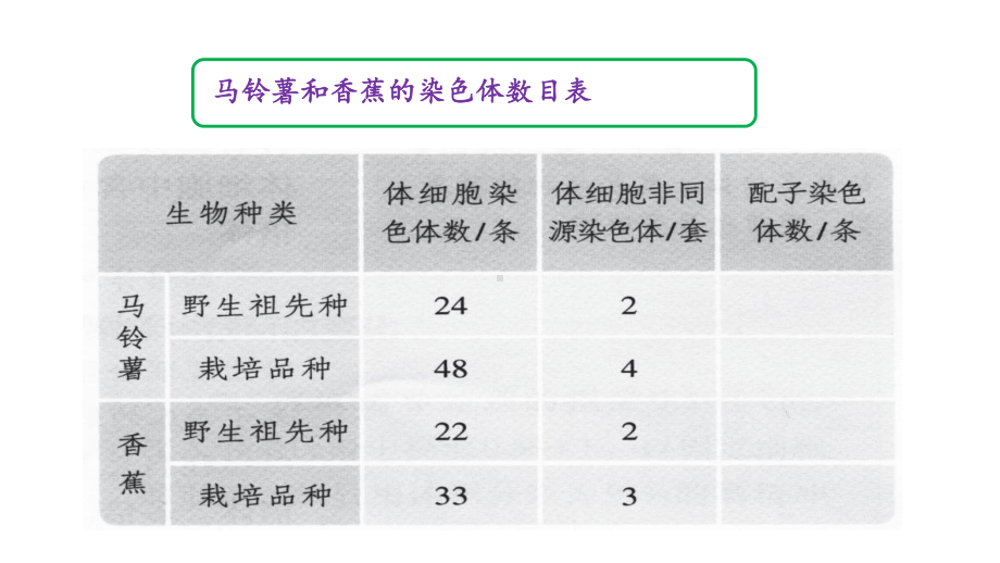 高中生物新教材《染色体变异》精美课件1.pptx_第2页