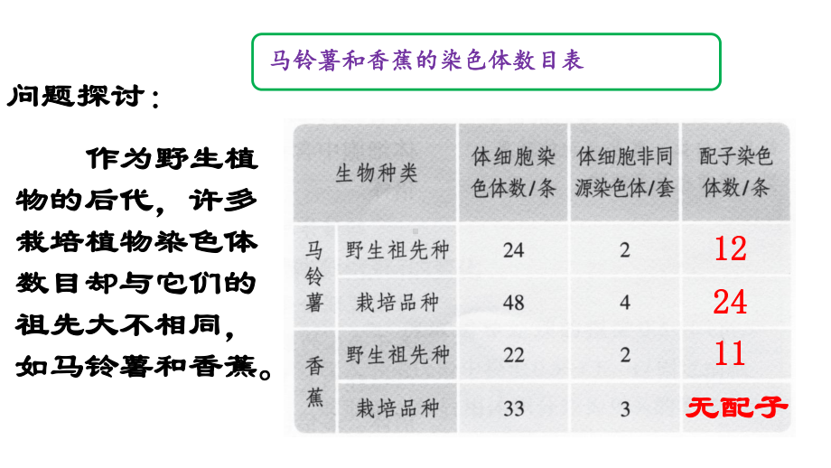 高中生物新教材《染色体变异》精美课件1.pptx_第3页