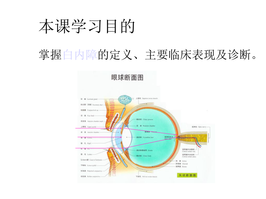 眼科学晶体病医学-精选课件.ppt_第2页