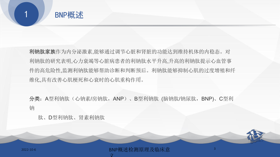 BNP概述检测原理及临床意义培训课件.ppt_第3页