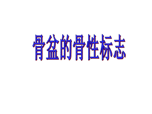 骨盆骨性标志课件.ppt