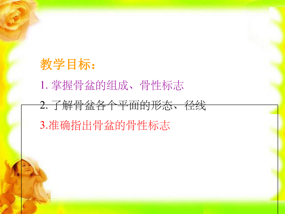 骨盆骨性标志课件.ppt_第3页