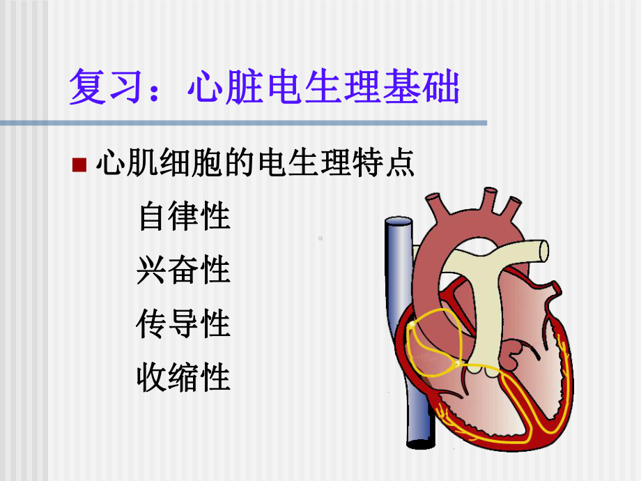 临时起搏器护理课件.pptx_第3页