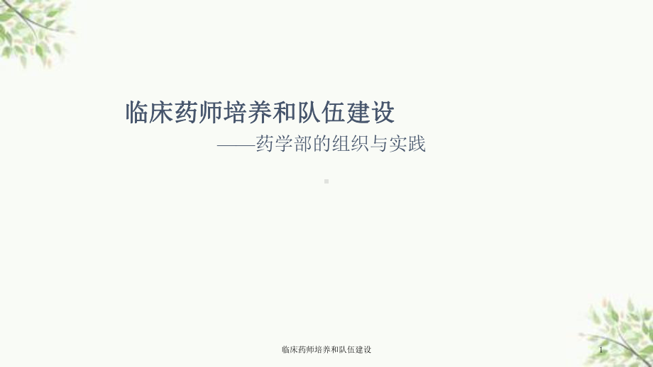 临床药师培养和队伍建设课件.ppt_第1页