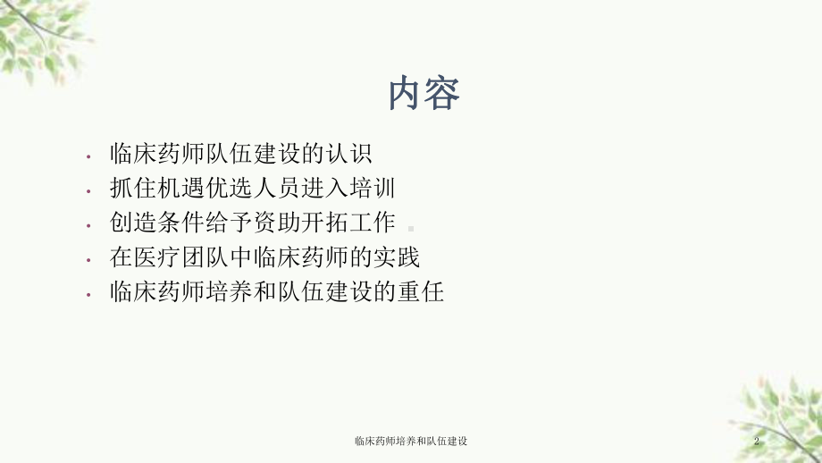 临床药师培养和队伍建设课件.ppt_第2页