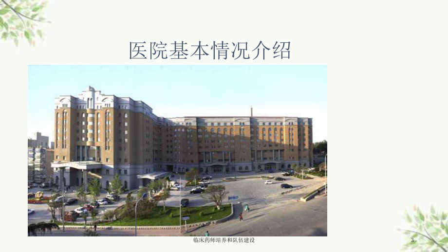 临床药师培养和队伍建设课件.ppt_第3页