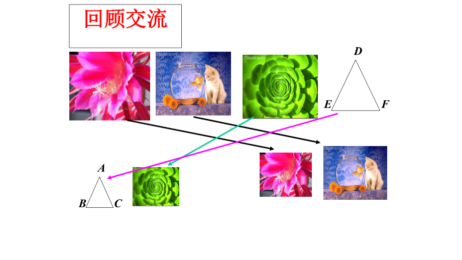 鲁教版八年级下册数学9.3相似多边形课件.ppt_第3页