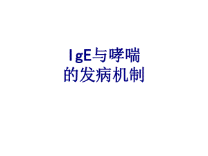 IgE与哮喘的发病机制课件.ppt