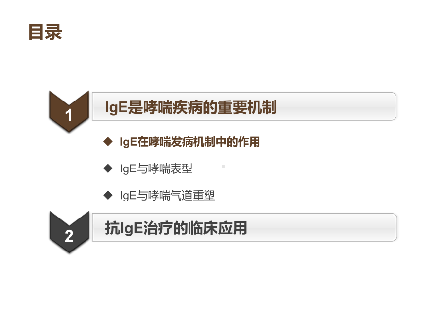 IgE与哮喘的发病机制课件.ppt_第2页