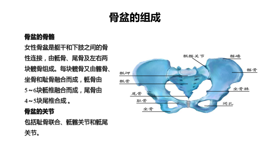 第九版妇产科学产道异常章节课件.ppt_第2页