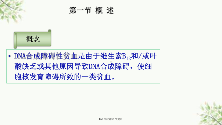 DNA合成障碍性贫血课件.ppt_第2页