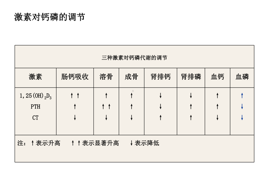 (医学)骨标志物临床应用教学课件.ppt_第3页