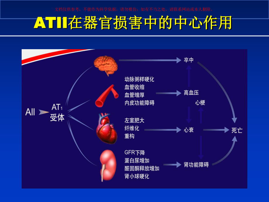 ARB科素亚在肾脏病治疗中的优势培训课件.ppt_第2页