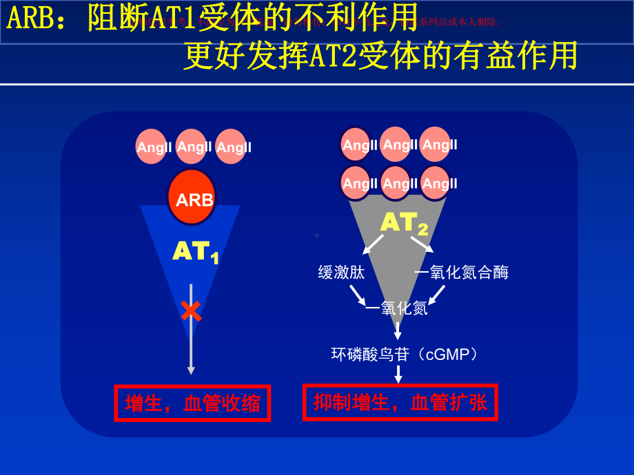 ARB科素亚在肾脏病治疗中的优势培训课件.ppt_第3页