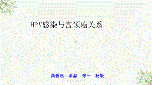 HPV感染与宫颈癌关系课件.ppt