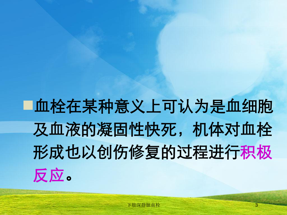 下肢深静脉血栓培训课件.ppt_第3页