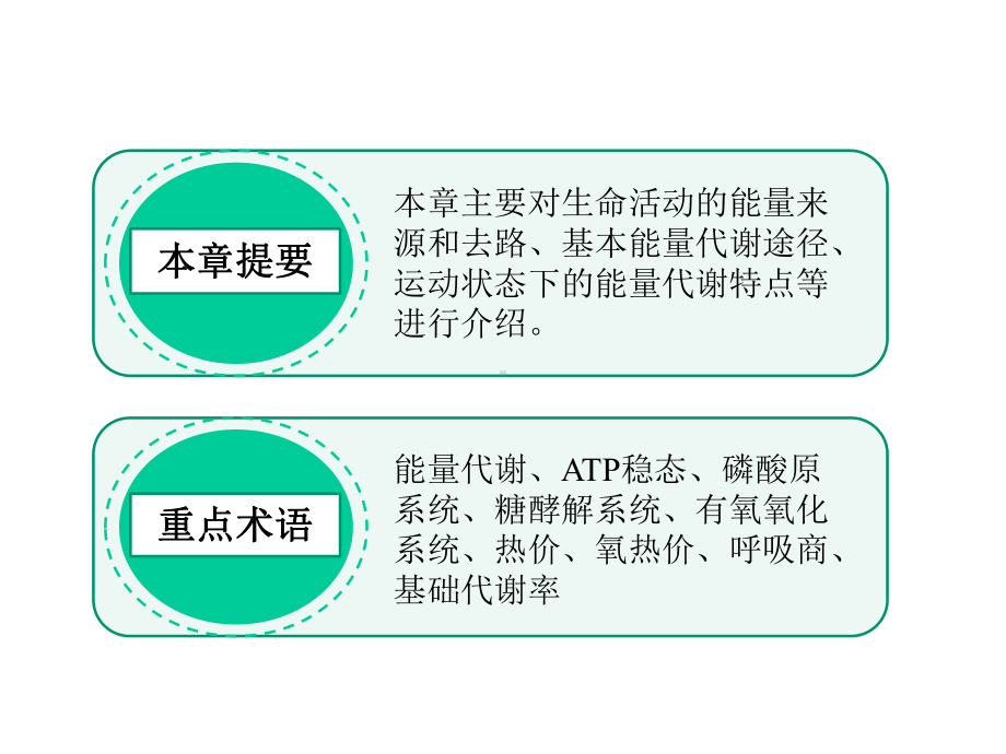 运动生理学课件第二章能量代谢.pptx_第3页