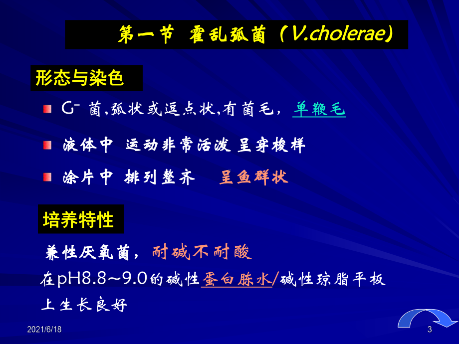 《医学微生物学》第8章-弧菌属课件.ppt_第3页